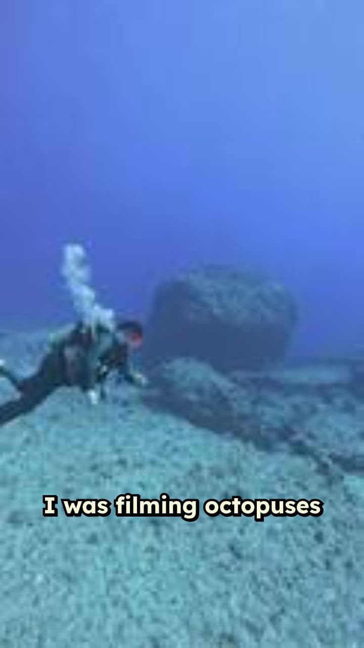 Alien Intelligence: The Amazing Octopus