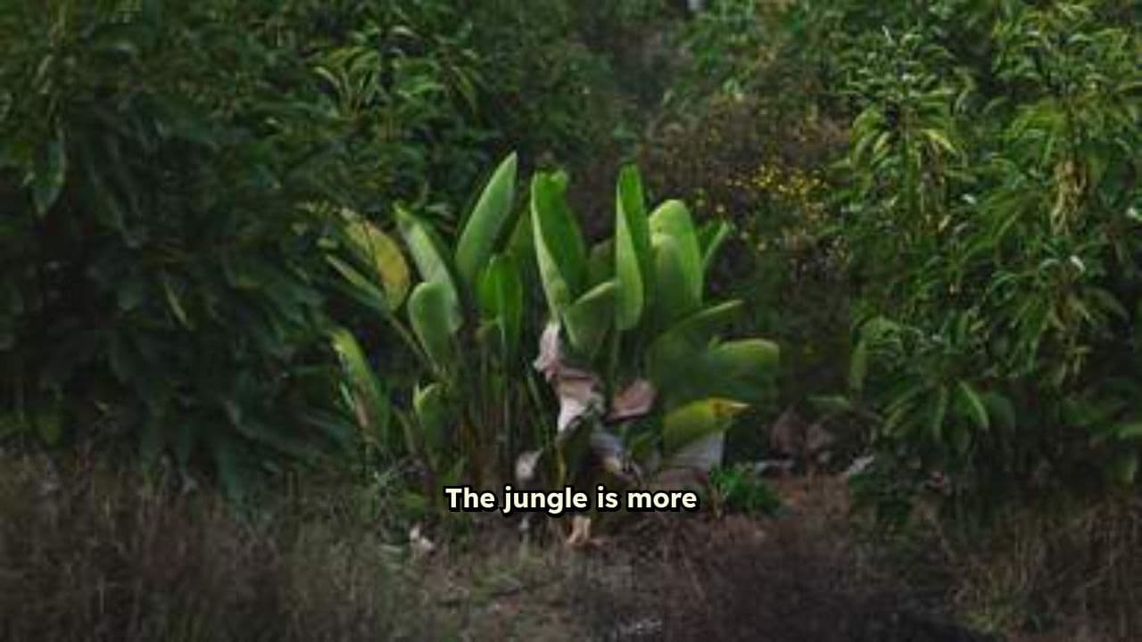 Jungle Jamboree: Rhythm of Friendship