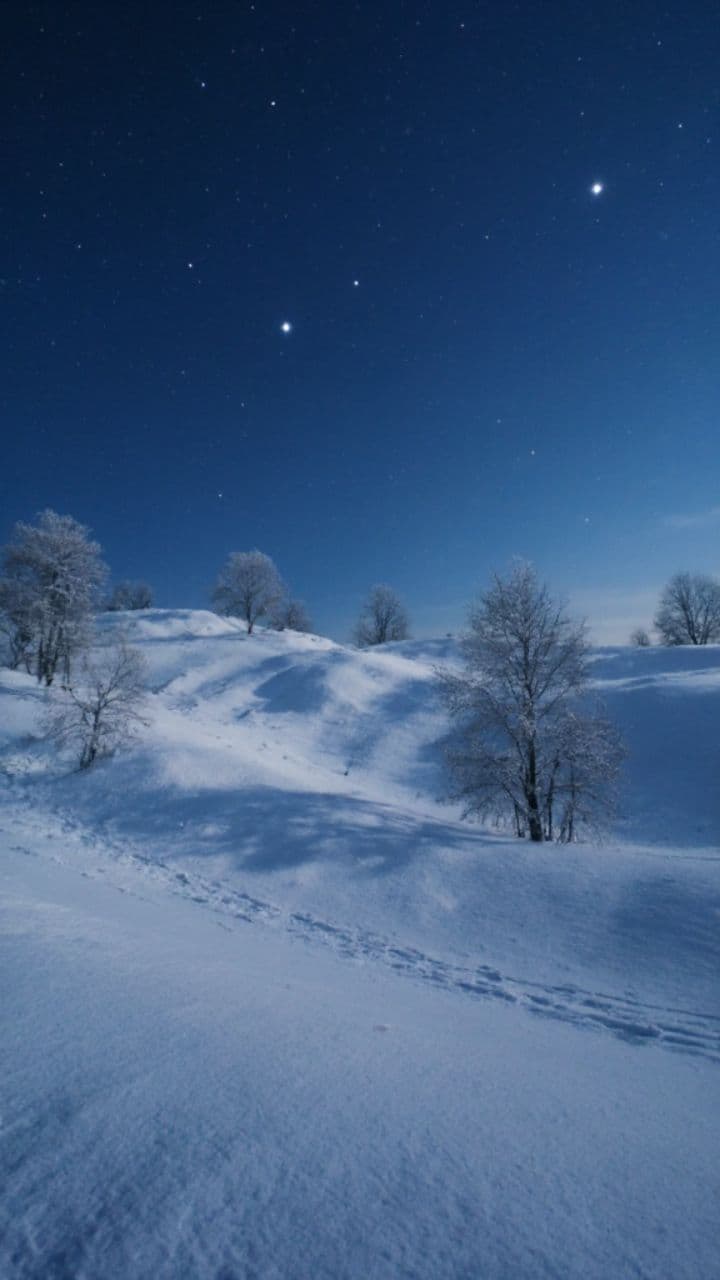 Embracing Christmas Memories