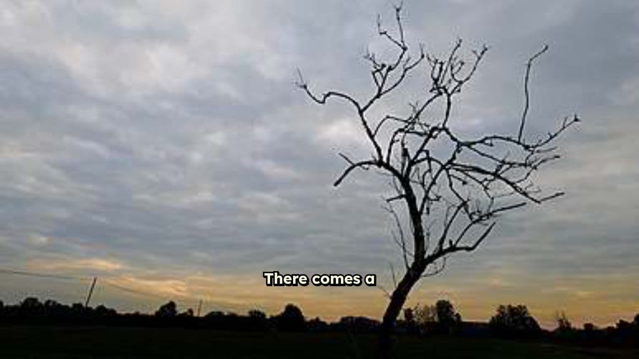 The Disconnected Vine