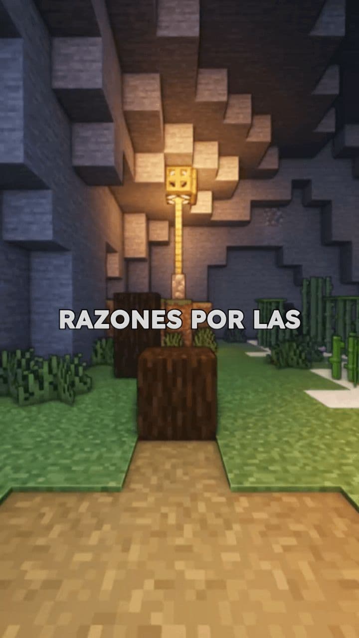 Vota por Simbiovet: Cambio y Transparencia