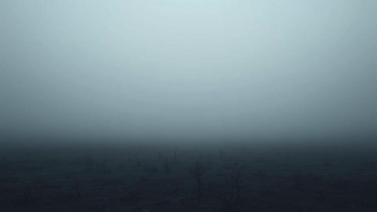 Батальон Вега: долг и семья