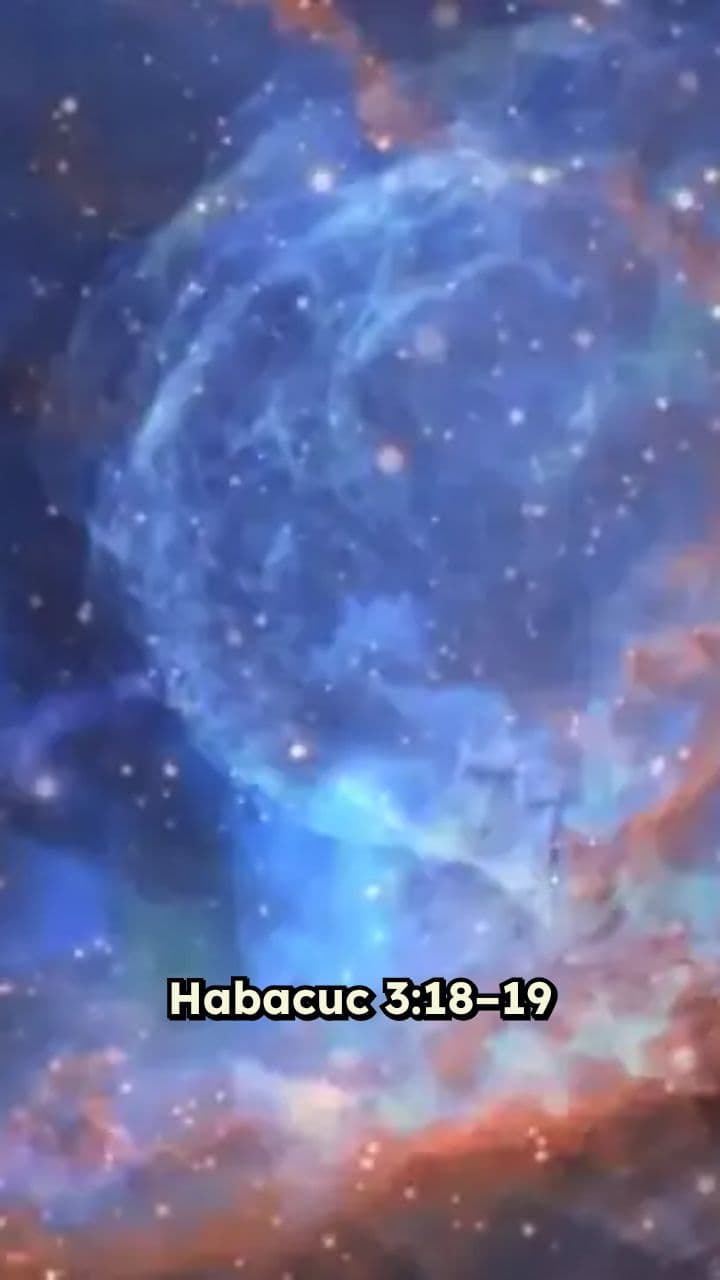 Alegría en la Adversidad