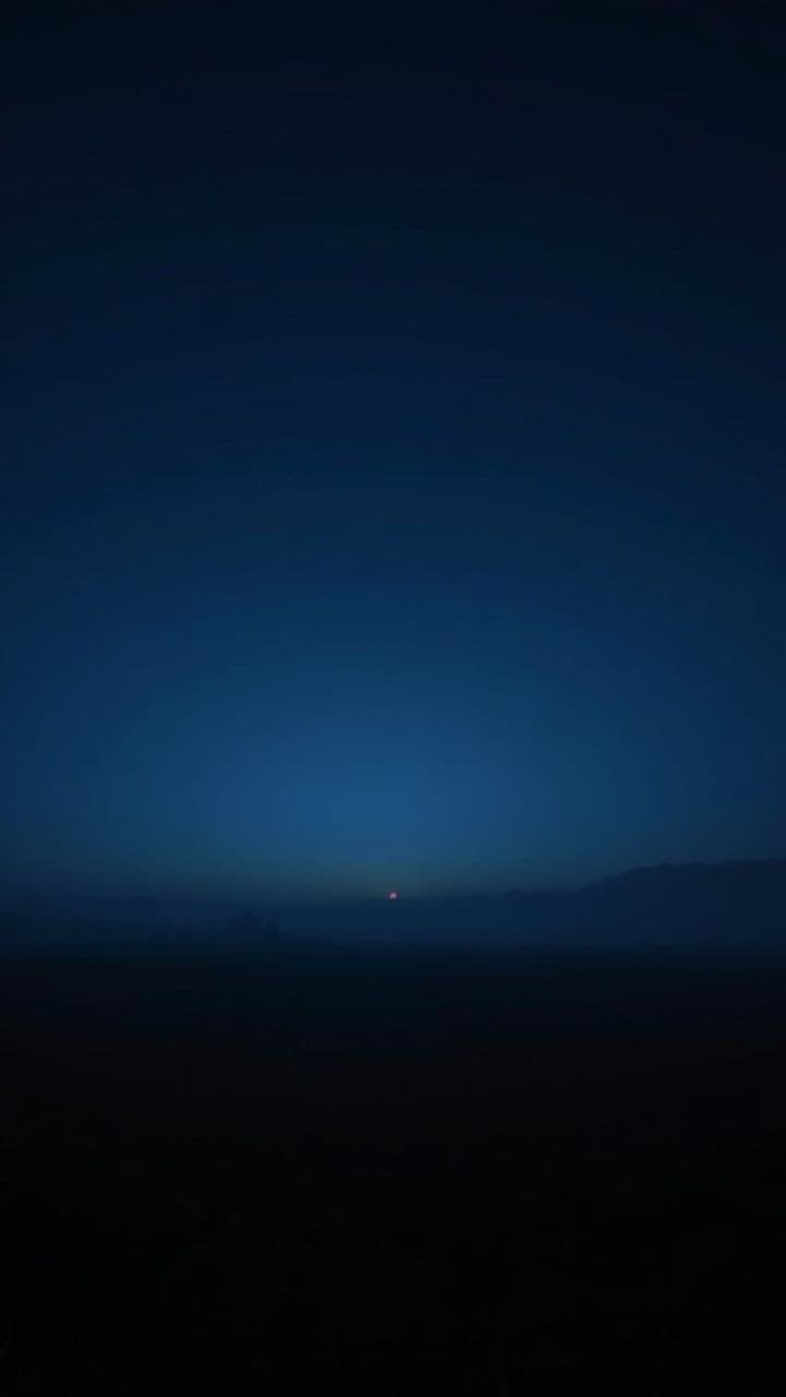 Chasing Sunlight Together