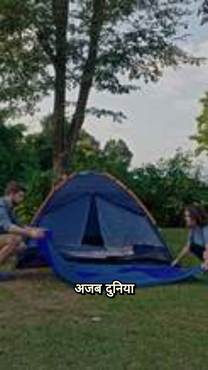 क़लम और पत्थर उठाते हैं