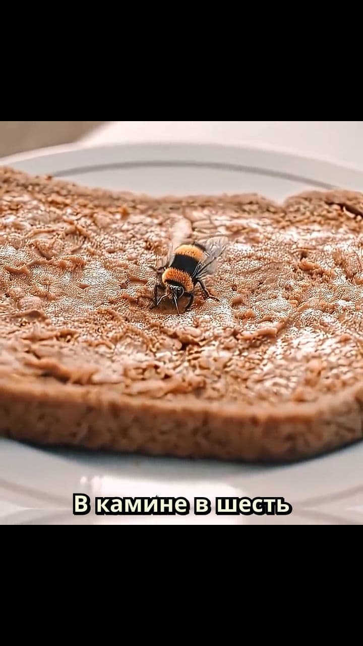 Пустые обещания