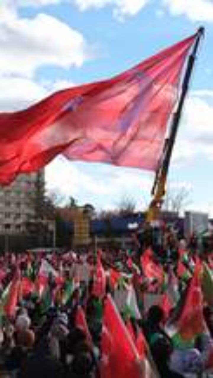 Birlikte Yürümek, Umut Taşımak