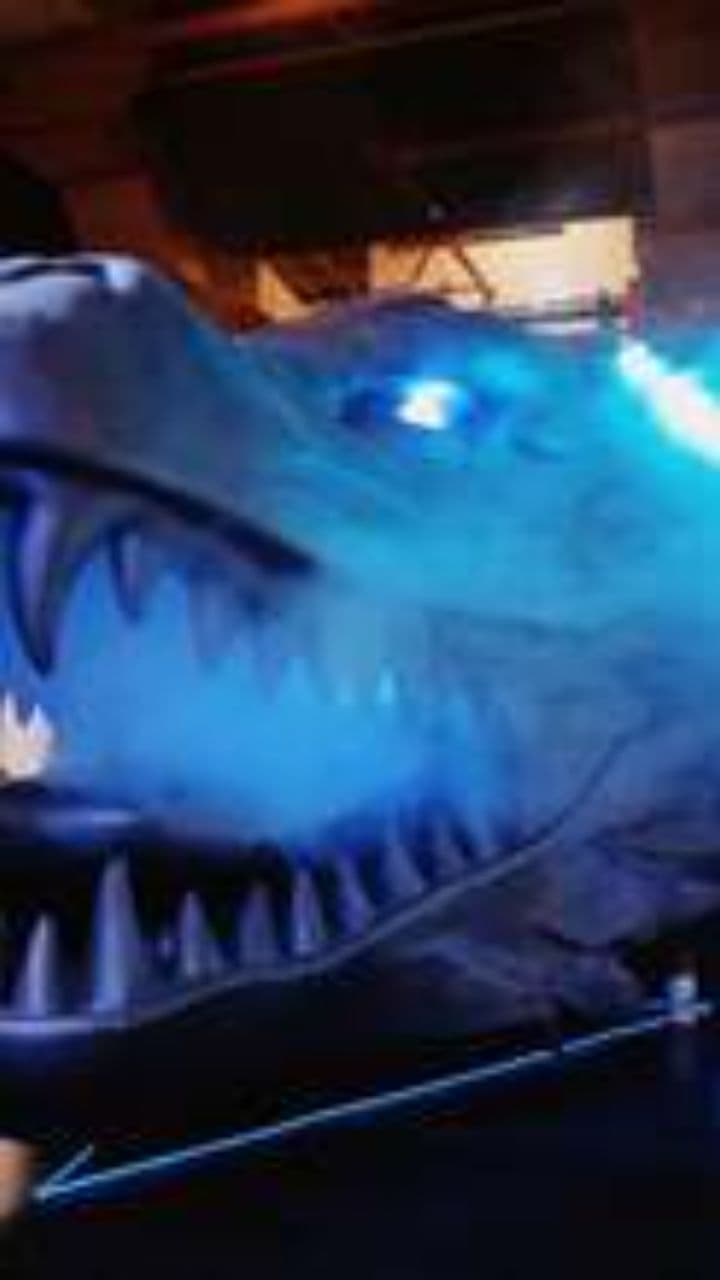 Don't Touch My Dragons