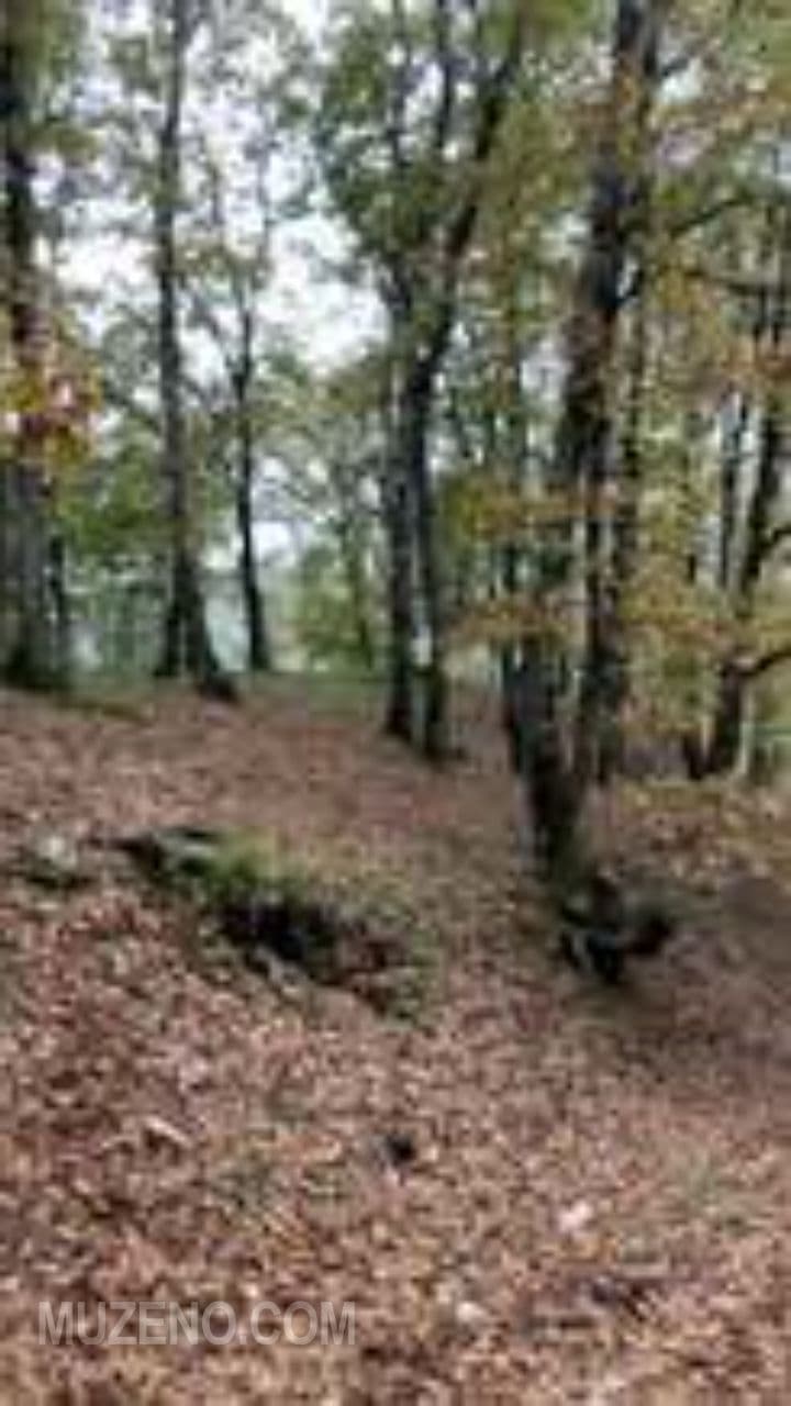 Soft Girl, Sharp Mind (exported)