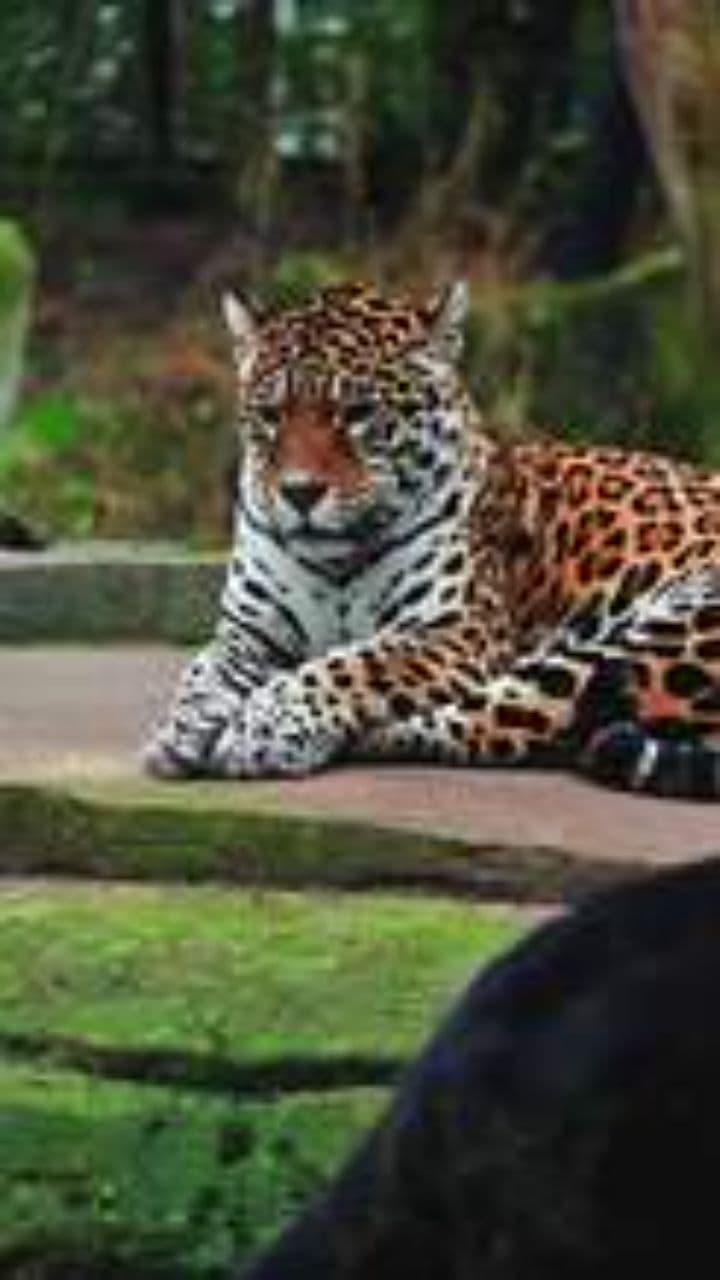 Перестань страждати, братанчик