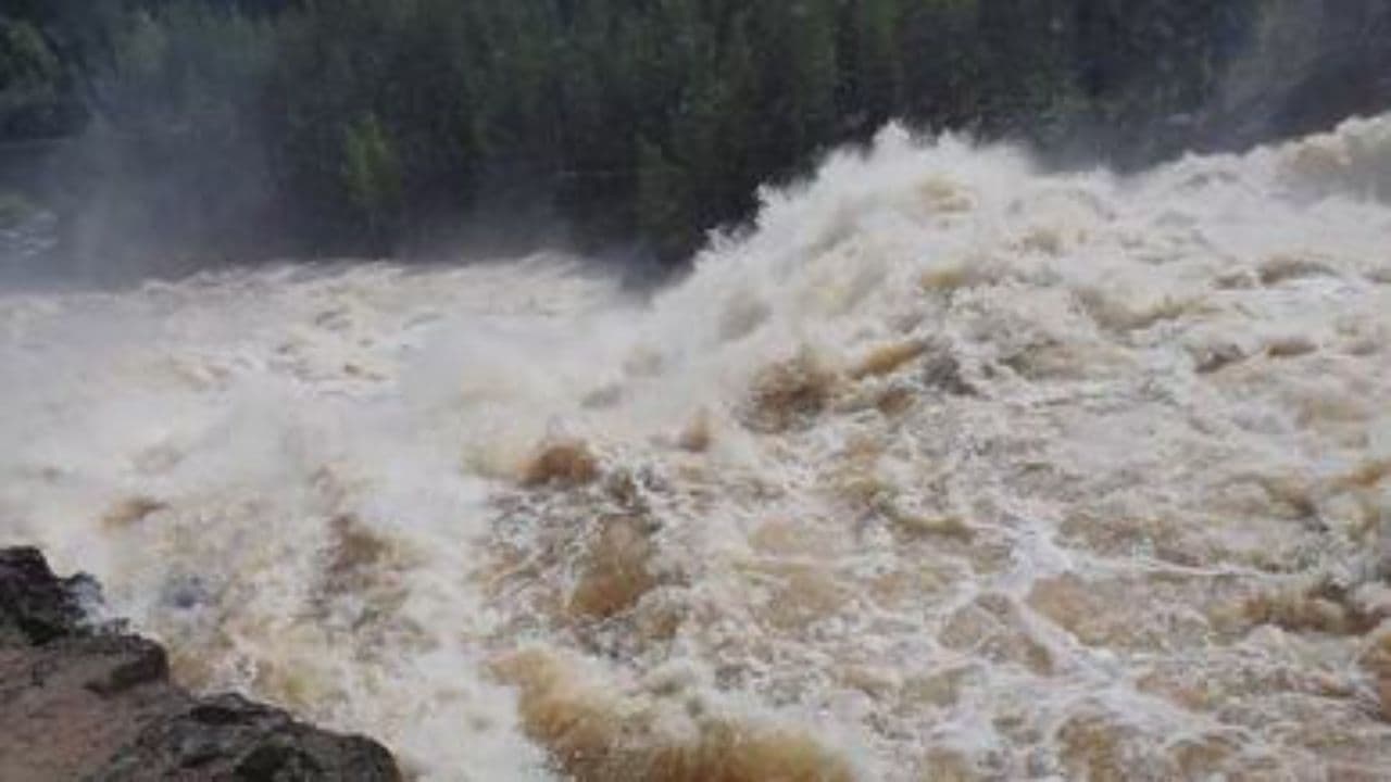 Aslan: El Reino Restaurado