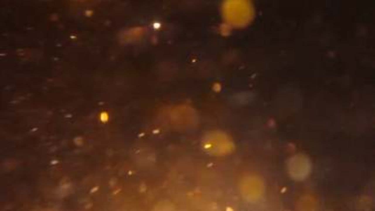 Despertar a Medianoche