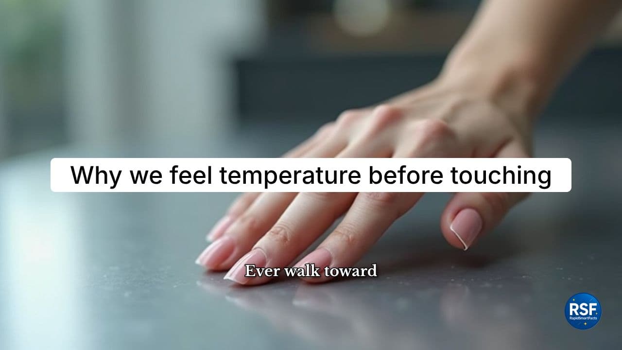 Why We Feel Temperature Before Touching Something | RapidSmartFacts