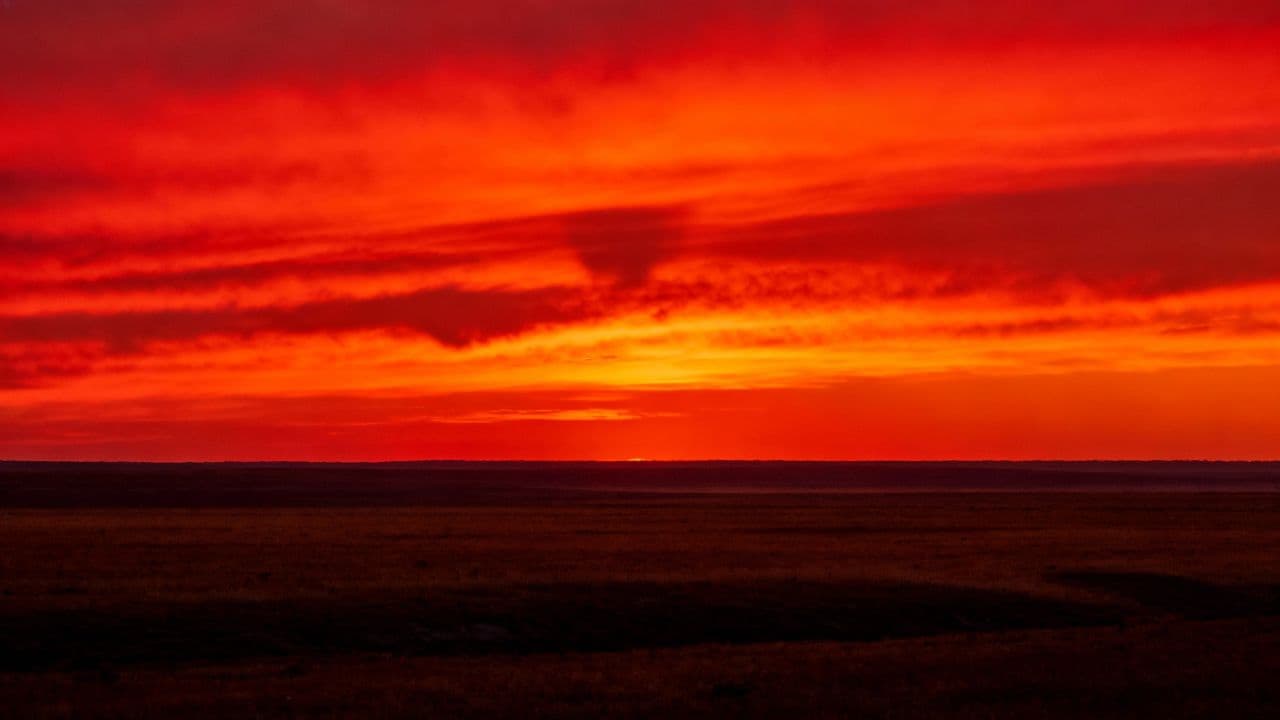 Fiery Sunset Silhouettes