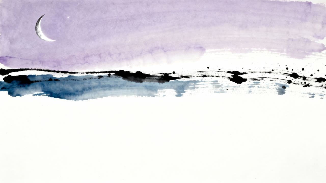 איילה צוחקת ורוקדת בלילה