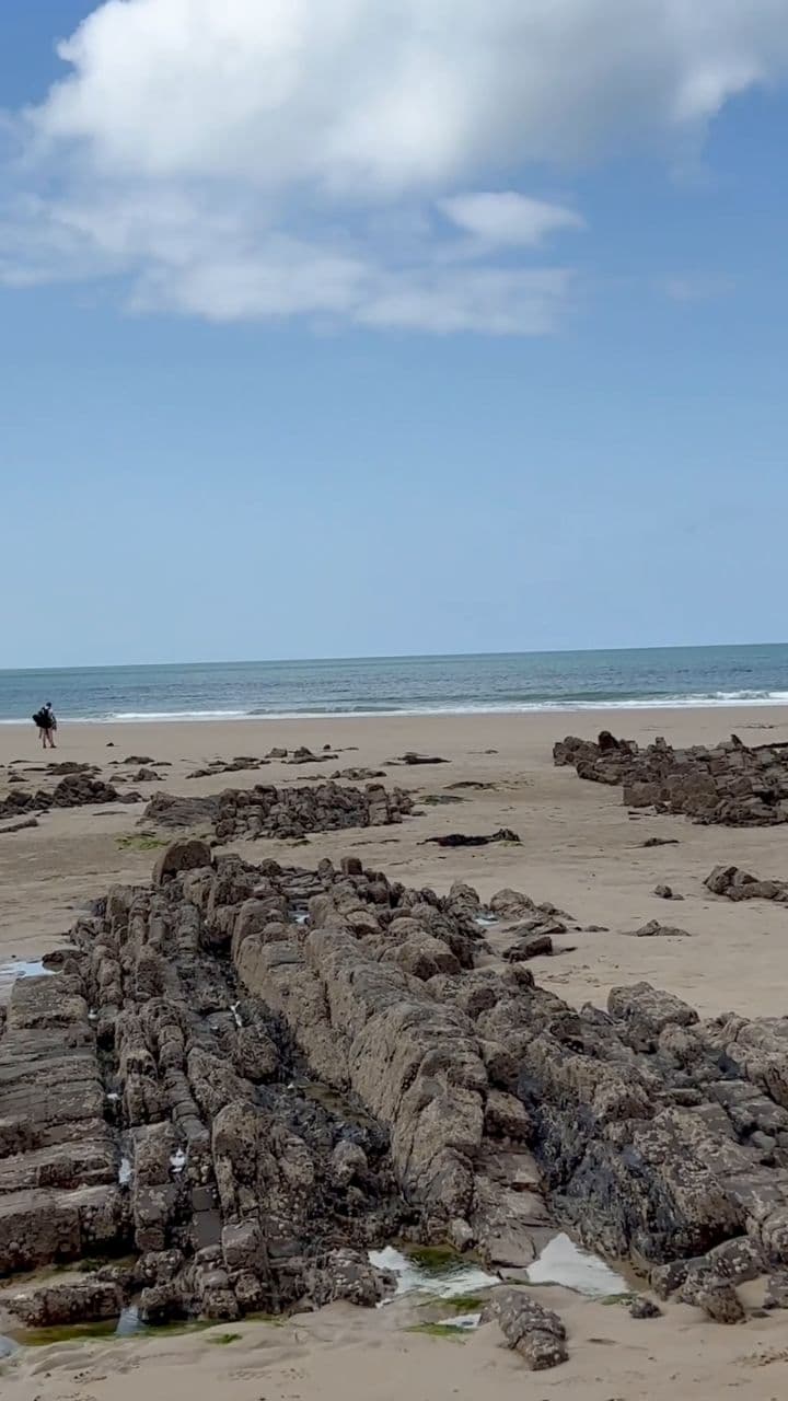 Whispers of the Wind