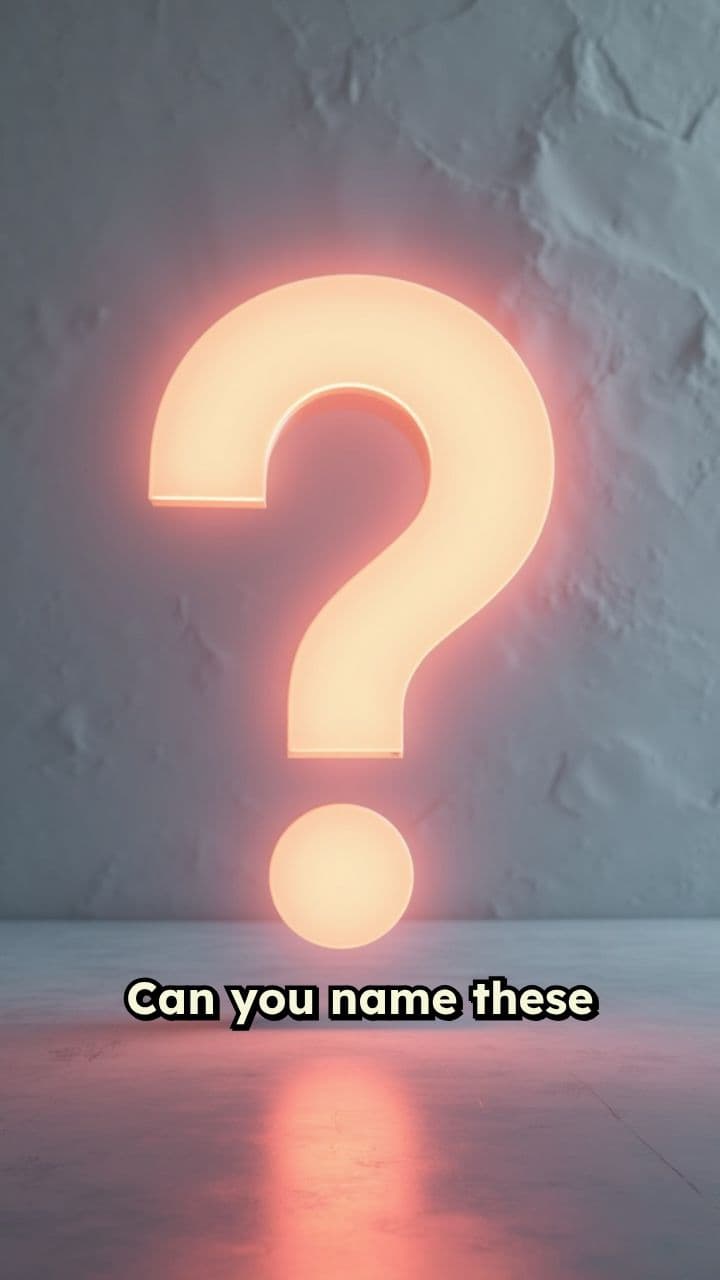 Animal Identification Challenge