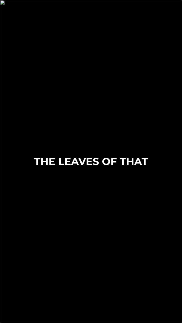 Fevered Toil Toward Completion