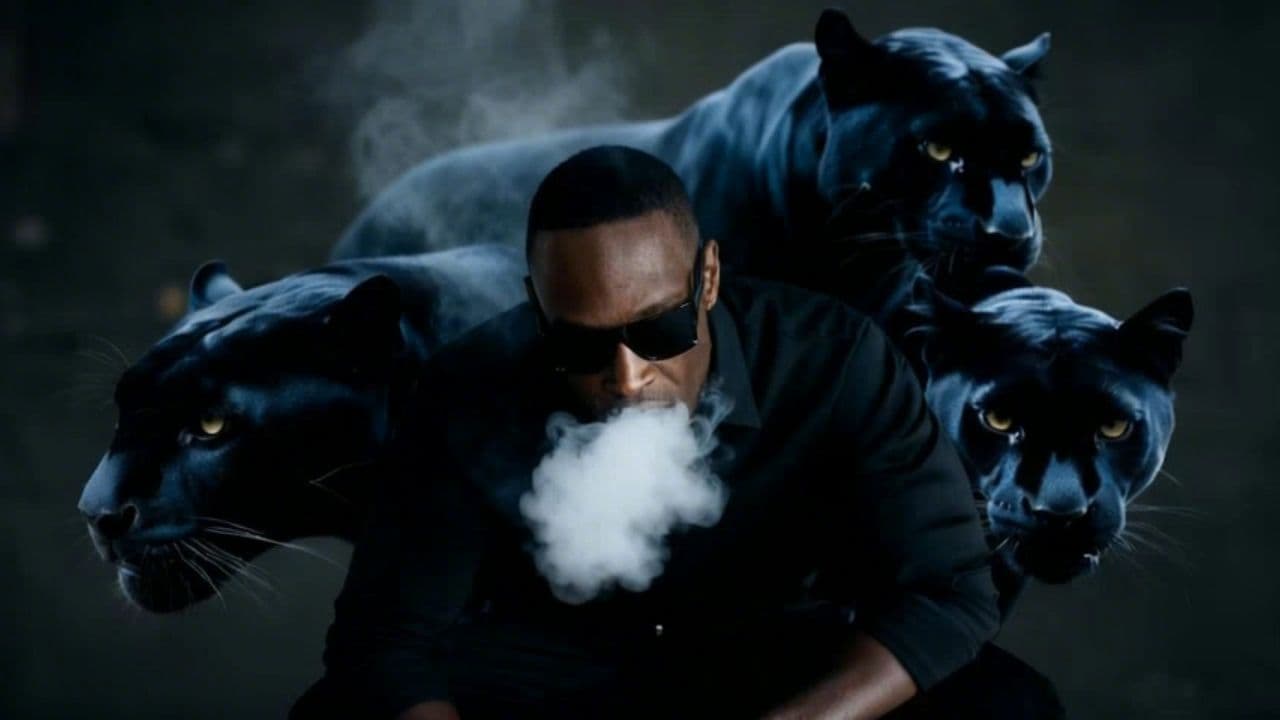 Image transform video