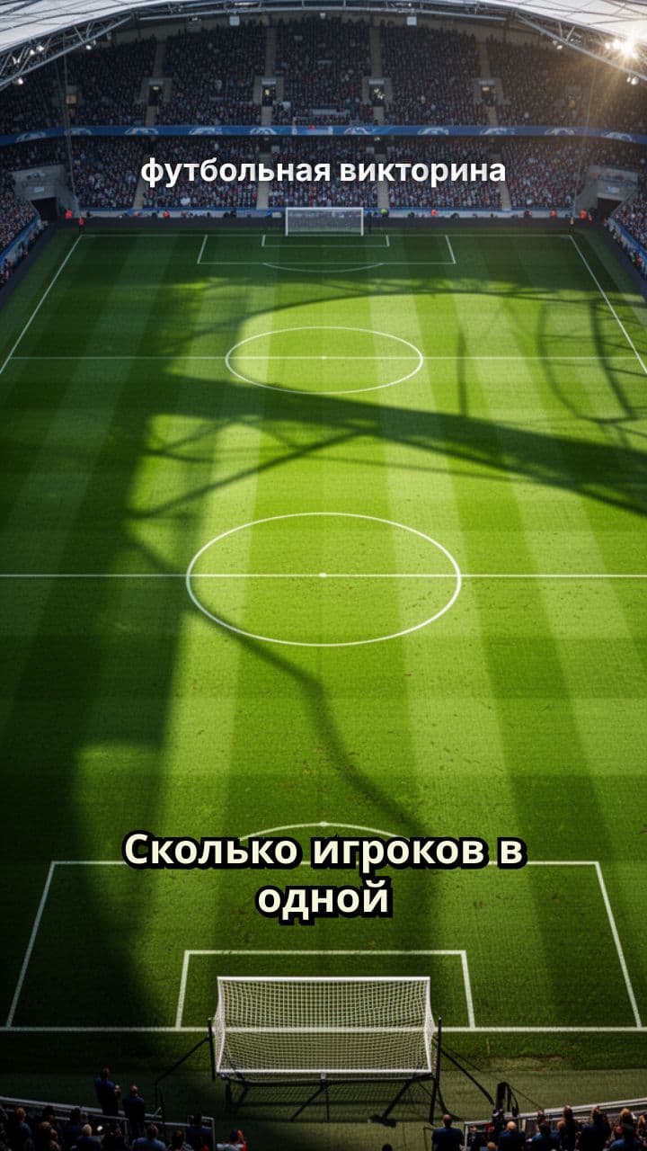 футбольная викторина
