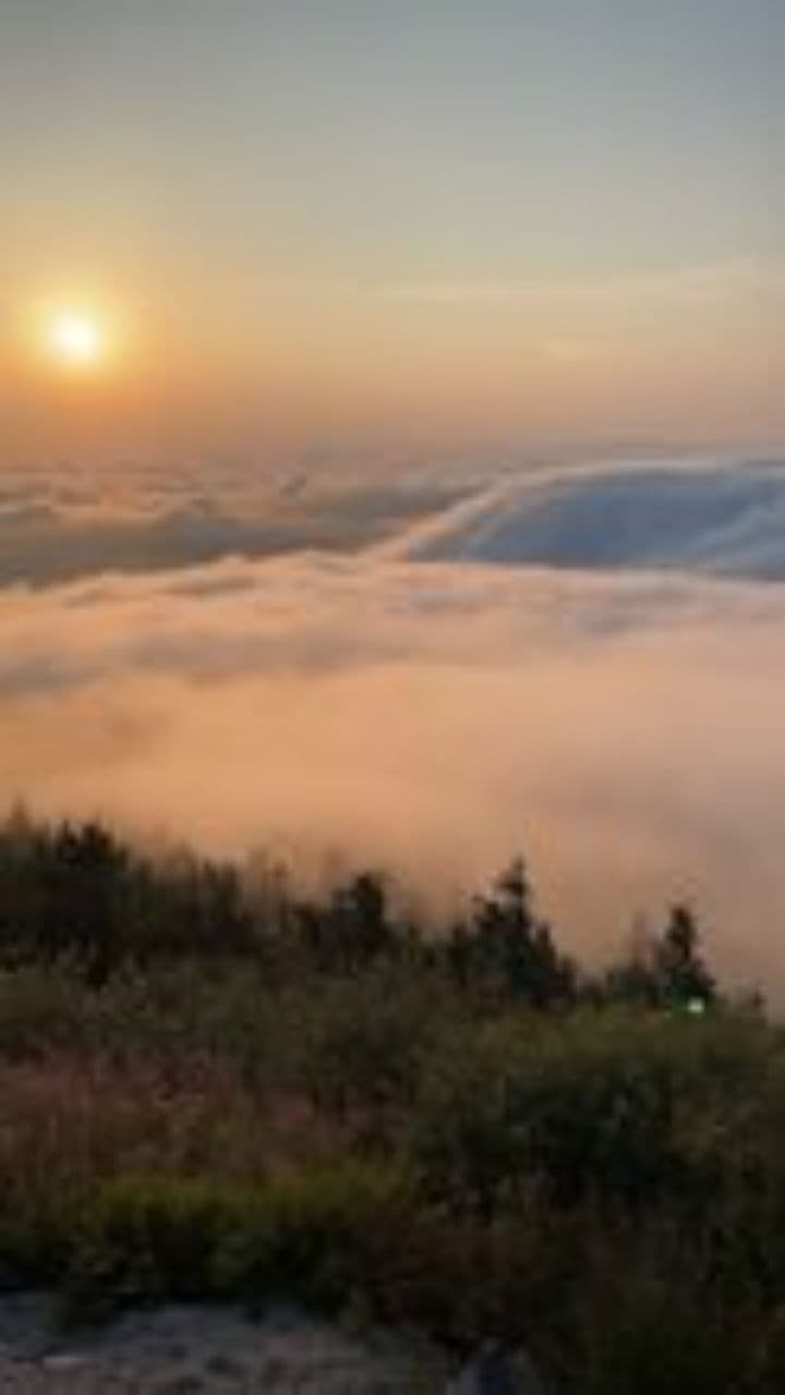 Hold On Through December