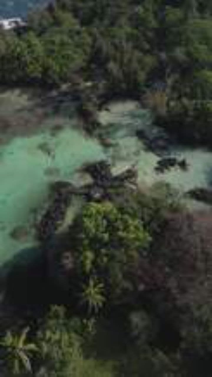 Recording Analysis Summary