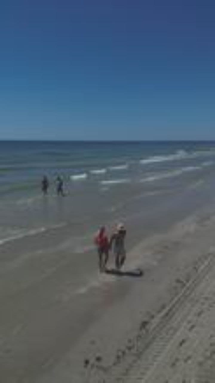 Gülüm, Sən Mənim Qəlbimsən