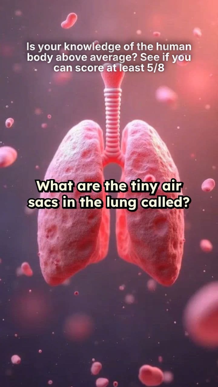 Is your knowledge of the human body above average? See if you can score at least 5/8 (duplicated)