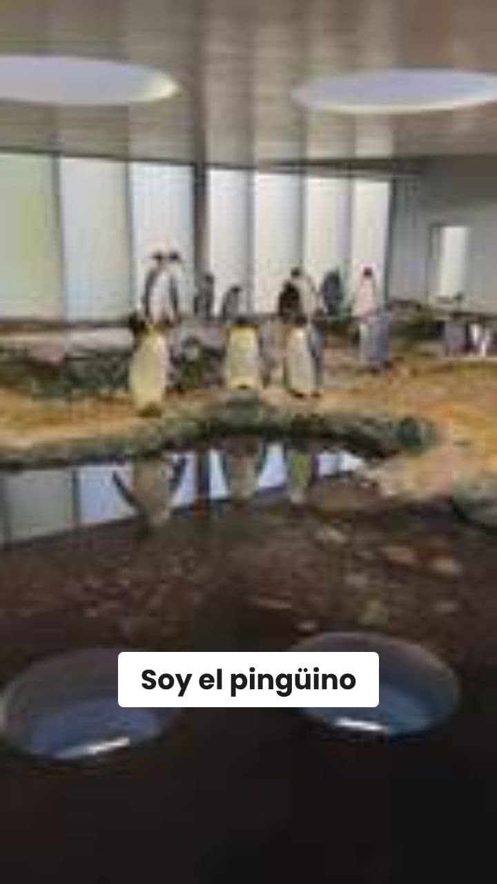 Apoyemos al príncipe en la votación