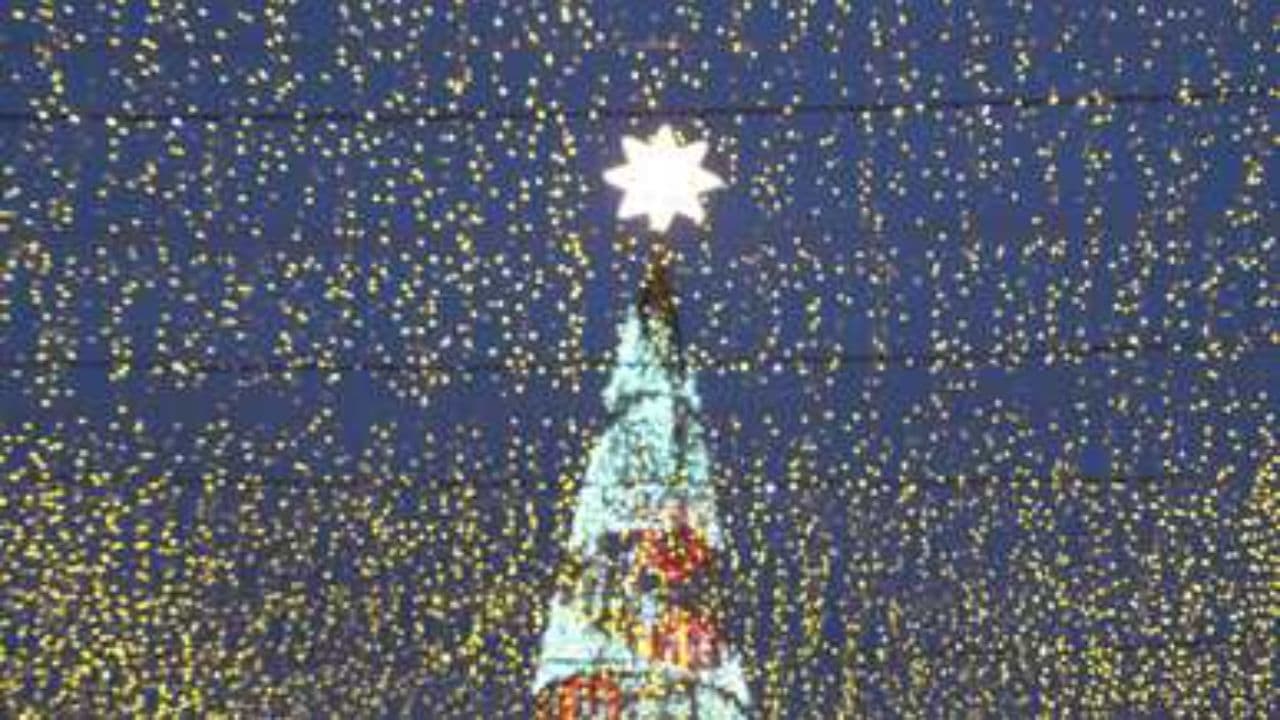 Come carne de cerdito esta Navidad