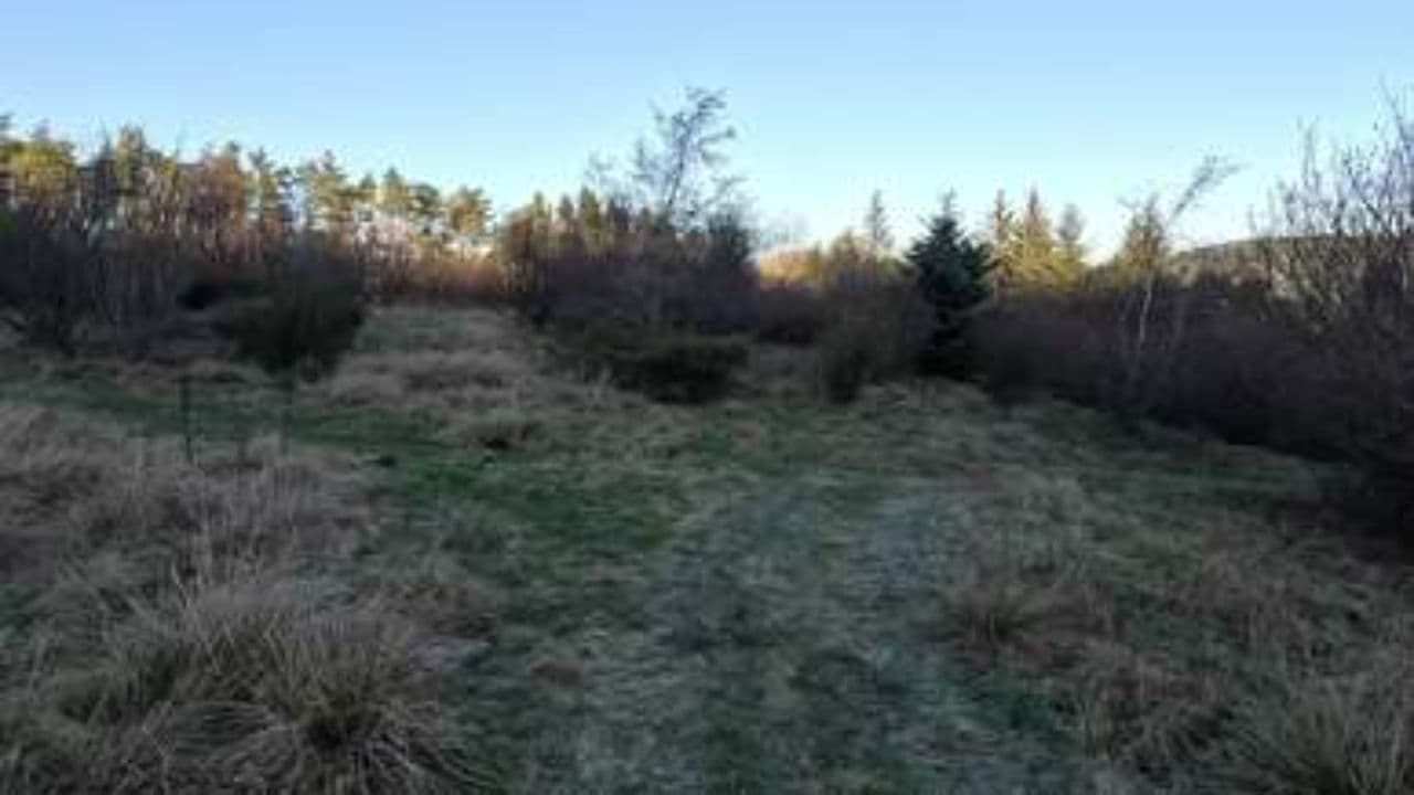 Little Tiger's Adventure