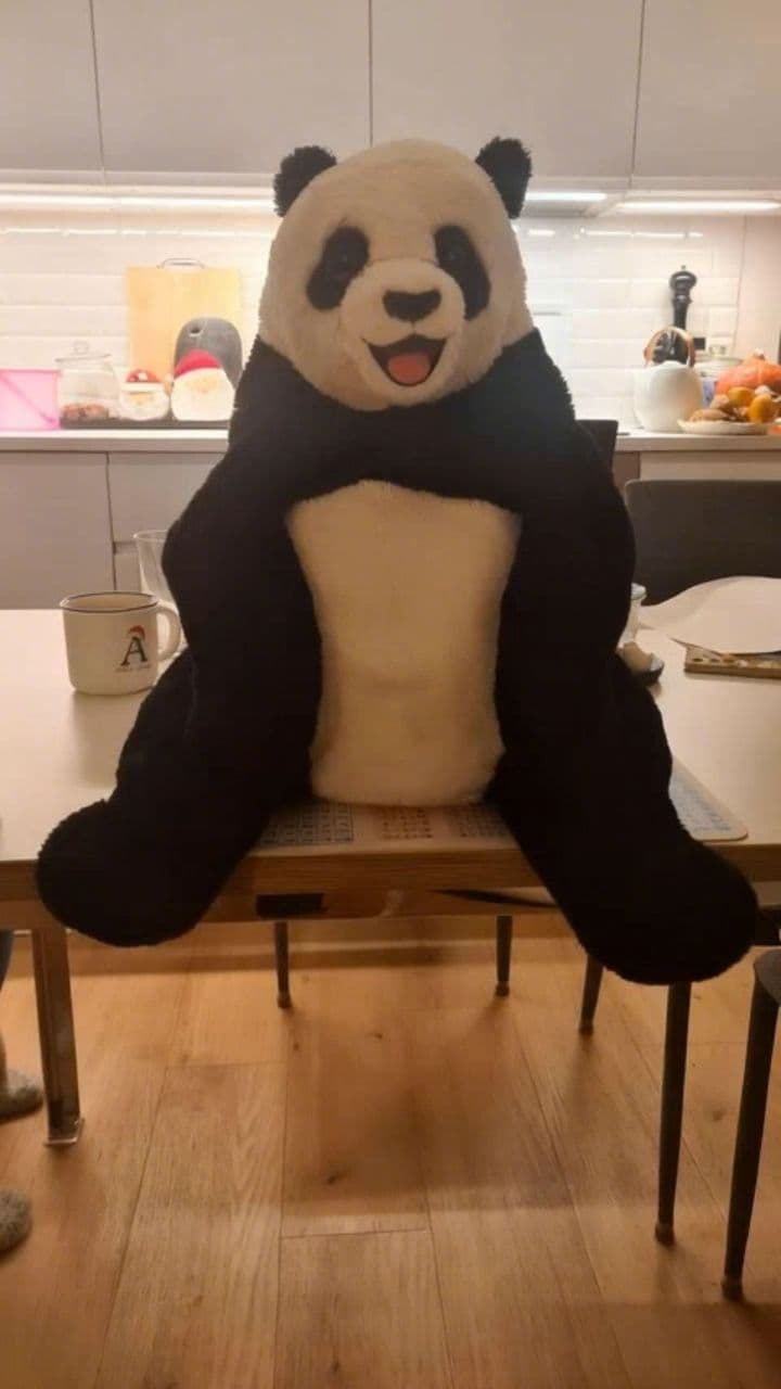 Image transform video