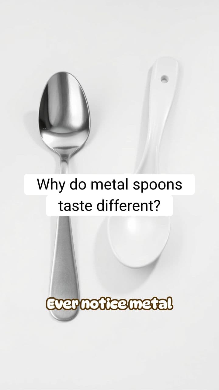 Why Do Metal Spoons Taste Different Than Plastic Ones? | RapidSmartFacts