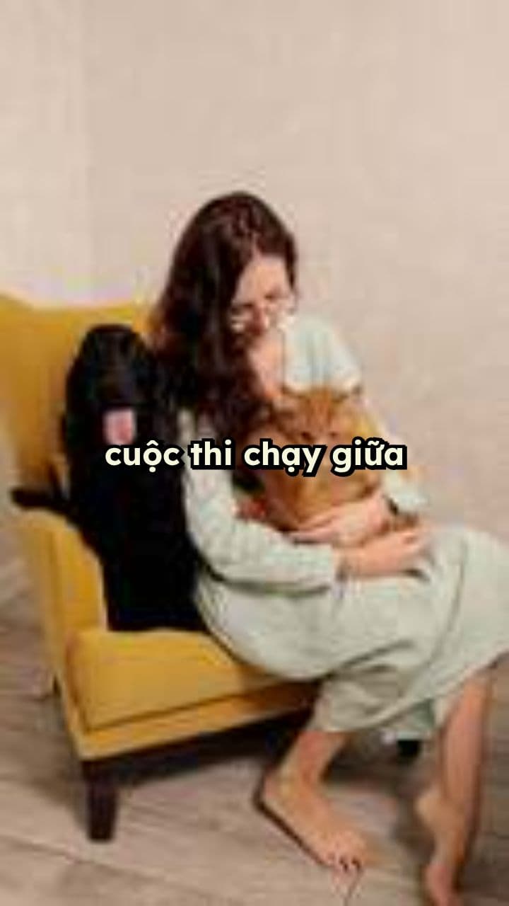 Mèo chiến thắng trong cuộc thi chạy