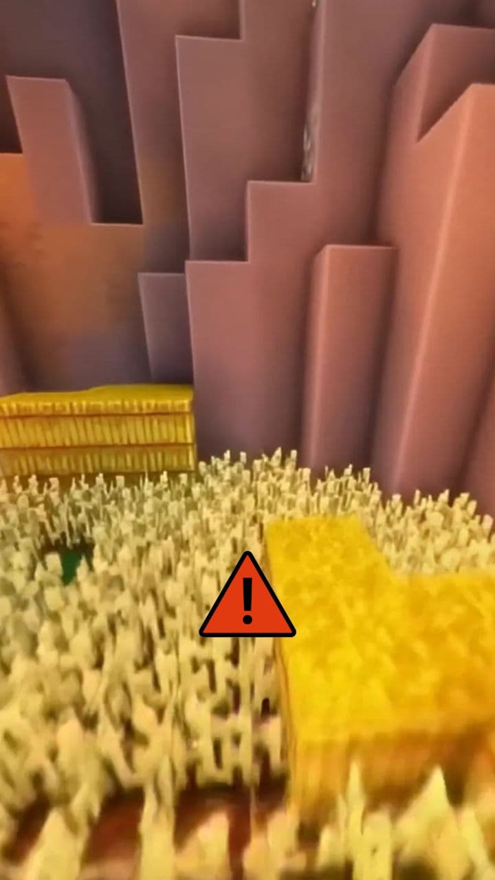 Call 1-800-SANCTUARY New Year Rescue