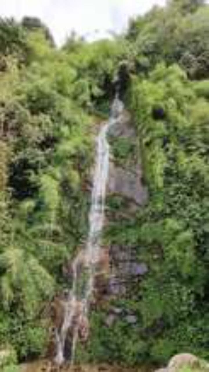 अर्जुन की मुरझाई अवस्था