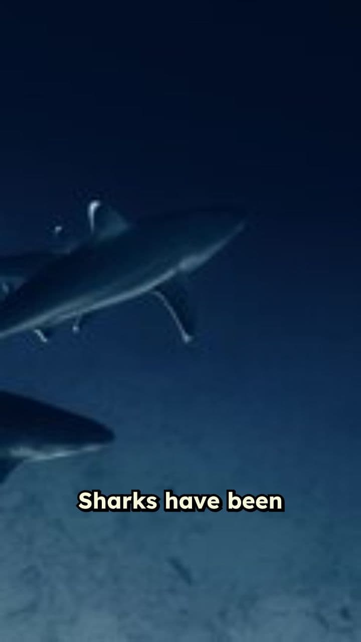 Ancient Life: Sharks and Trees