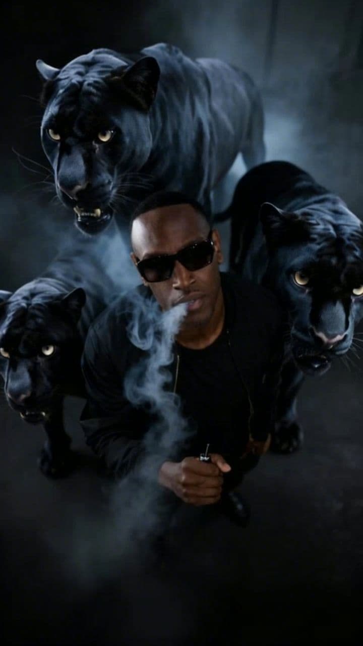 Image transform video