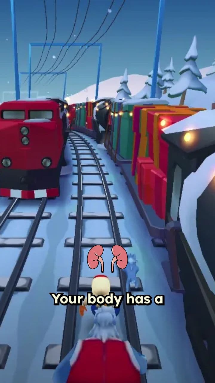 Master Control: The Endocrine System Explained