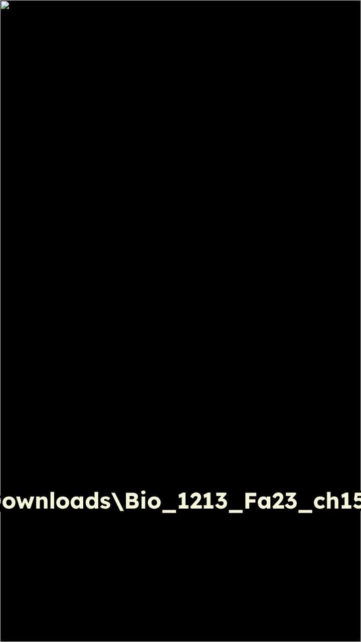 DNA Structure and Function Presentation