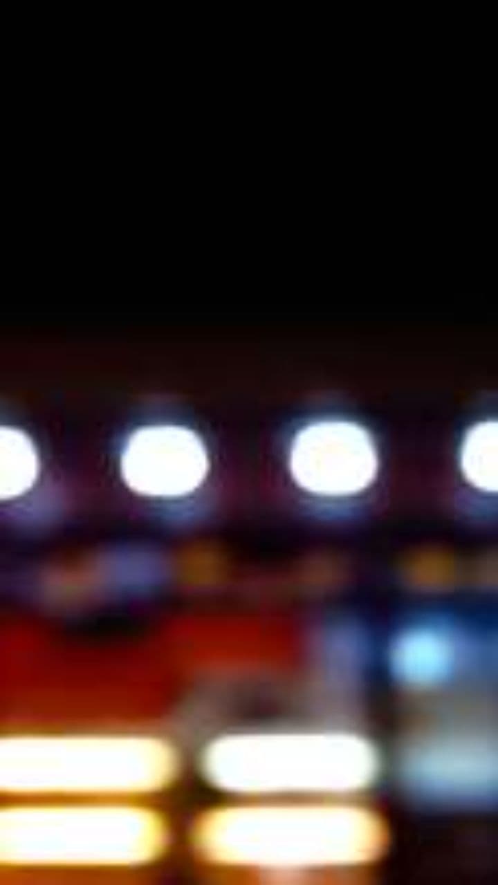 Concrete Jungle Dreams