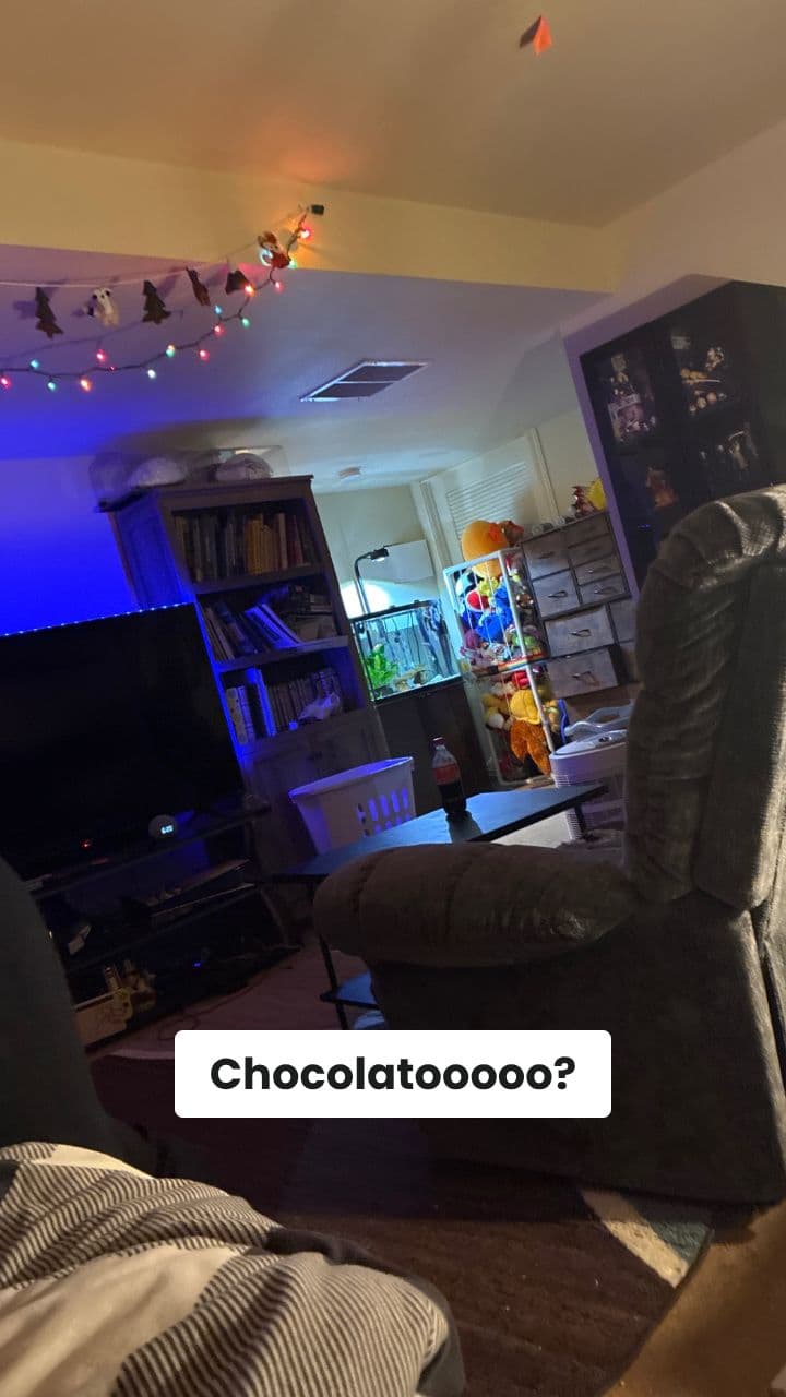 Squalo-Ciocco Arrestato