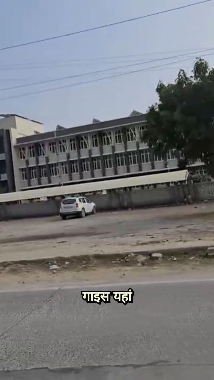 आपने तो कभी मंकी देखा नहीं होगा!