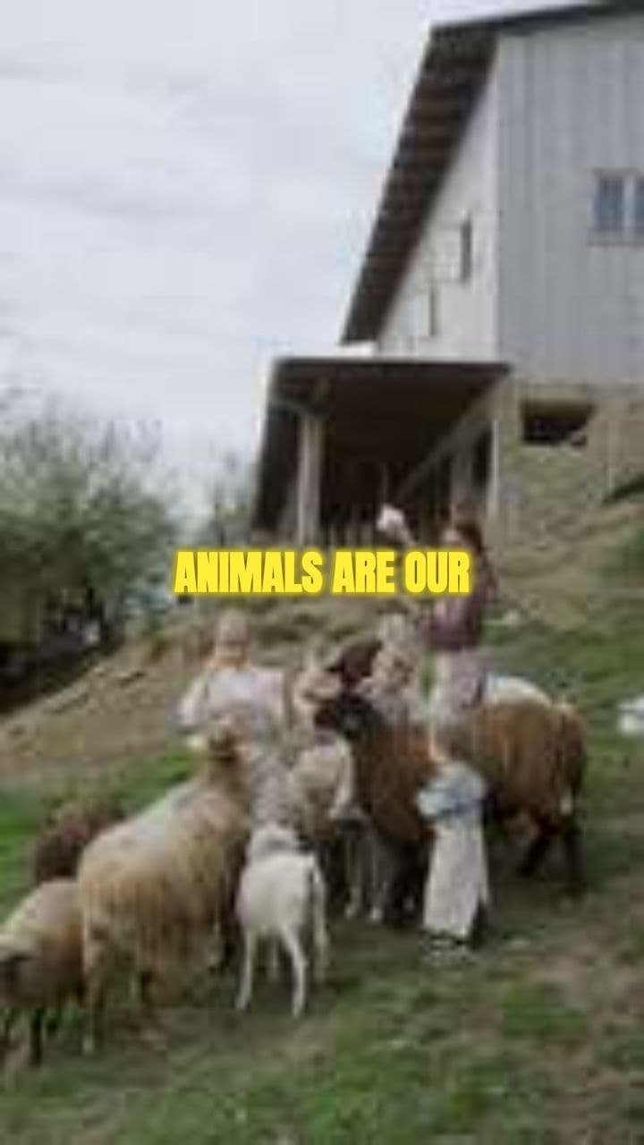 Animals: Our Best Friends