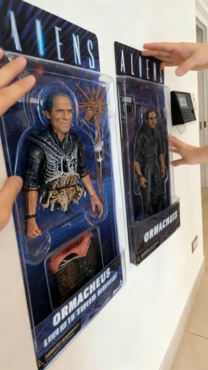 Image transform video