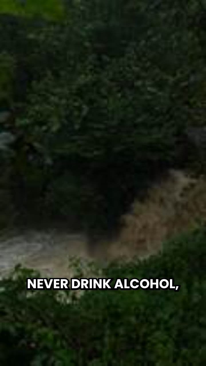 Alcohol, Karma, and Destiny