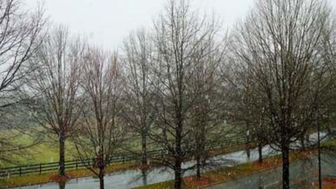 Take Me Home Through the Storm