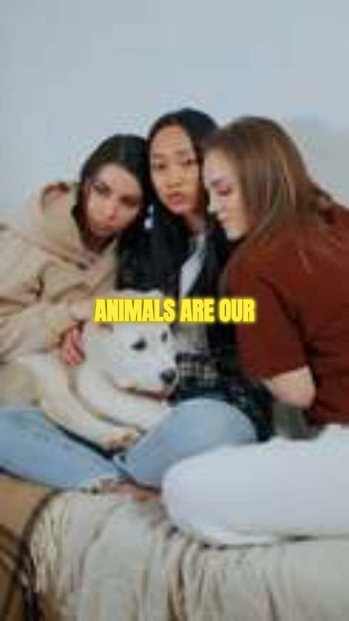 Animals: Our Best Friends