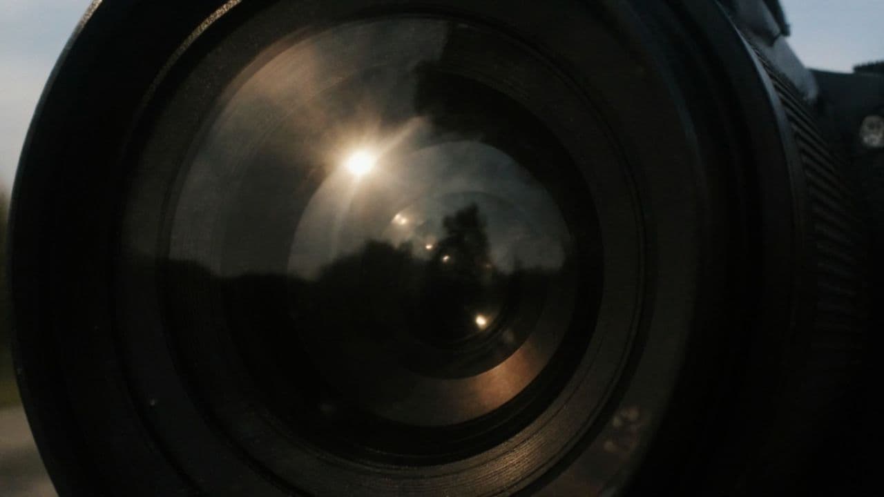 Life Through the Camera