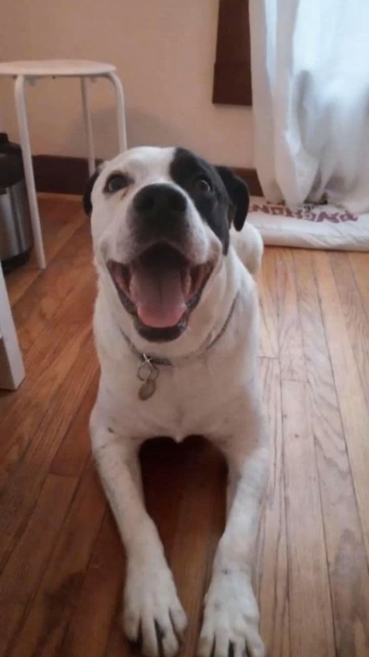 Image transform video